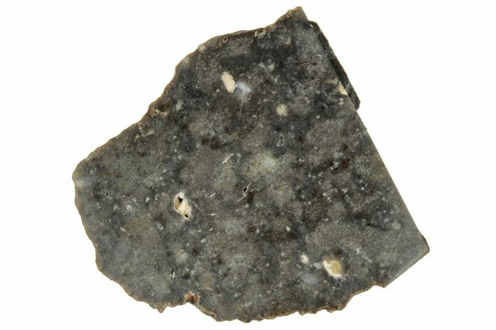 Lunar Meteorite ( g) Slice - NWA #312865